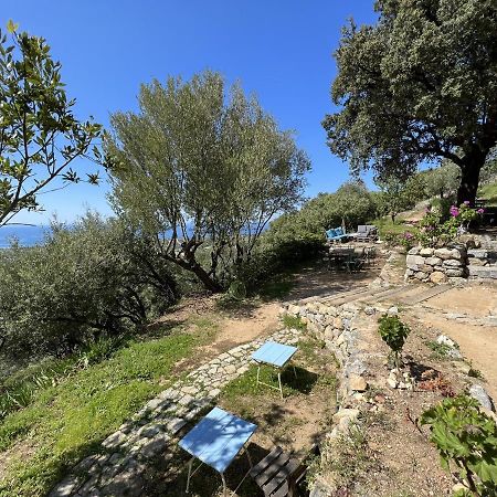Casa Musicale Ξενοδοχείο Pigna Εξωτερικό φωτογραφία